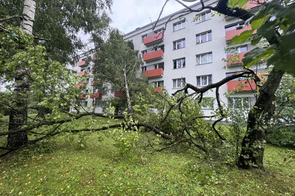 Pēc vētras svarīgākais ir drošība un savlaicīga bojājumu fiksēšana