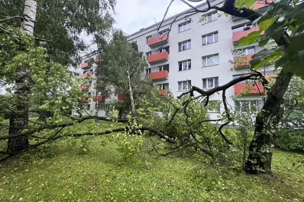 Pēc vētras svarīgākais ir drošība un savlaicīga bojājumu fiksēšana