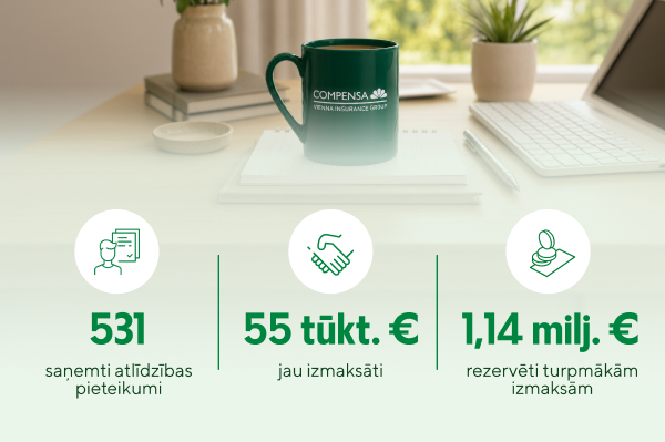 Trīs dienas pēc vētras Compensa izmaksājusi 55 tūkstošus eiro atlīdzībās un rezervējusi 1,14 miljonus